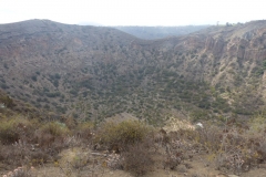 P1040579