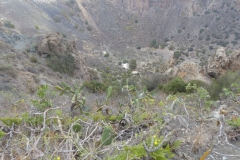 P1040589