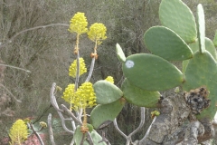 P1040600