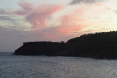 207_P1050698