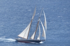 216_P1050713