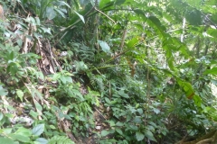002_P1050581