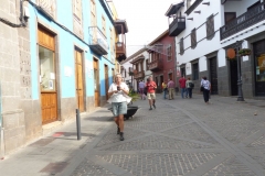 P1040516