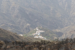 P1040528