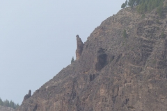 P1040534