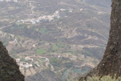 P1040549