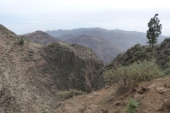 P1040552